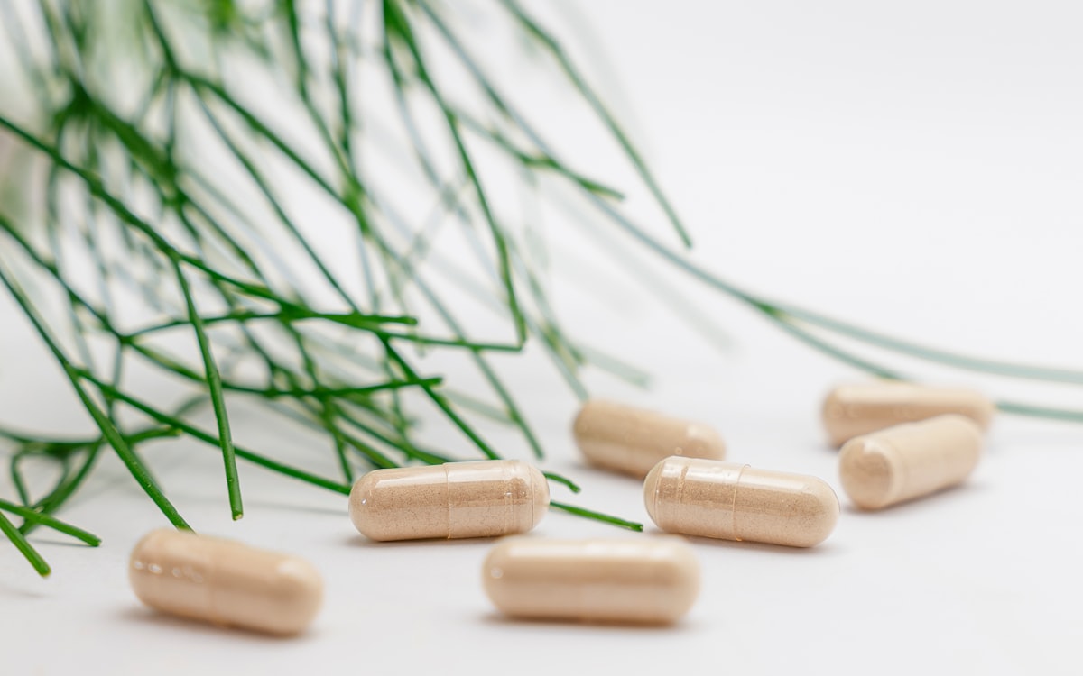 Natural supplement ingredients and wellness